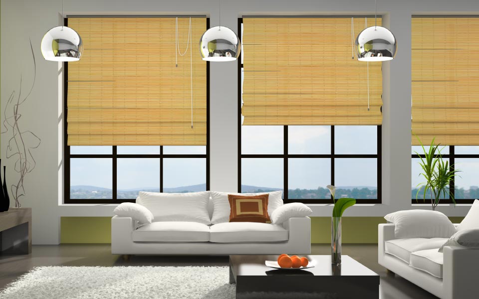 Roman Shade Blinds Vancouver
